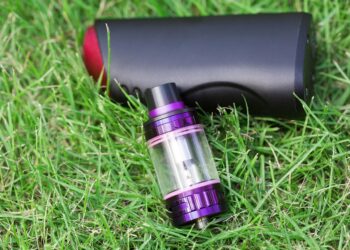 Elf Bar Vapes: Geschmacksrichtungen und Auswahl