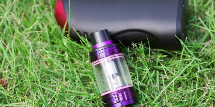 Elf Bar Vapes: Geschmacksrichtungen und Auswahl